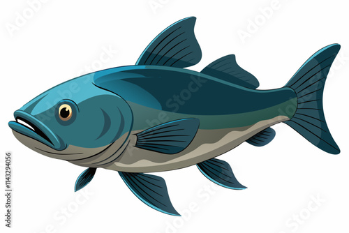 Catfish on a white background vector illustration