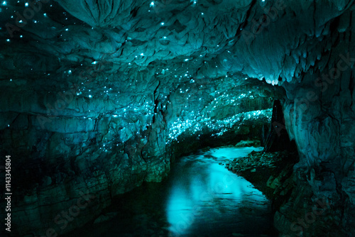 Glowworm cave illuminated by biolumiscence, Waitomo caves, Waitomo,New Zealand photo