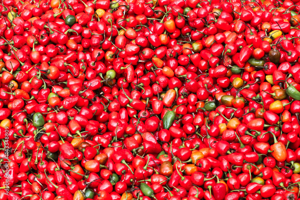 Fresh red and green peppers on sale in a market near Kathmandu's durbar square,Nepal Fresh red and green peppers on sale in a market near Kathmandu's durbar square,Nepal