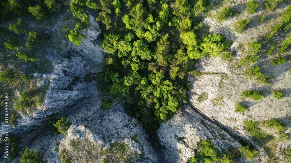 Aerial view of the mountain with summer forest Aerial view of the mountain with summer forest