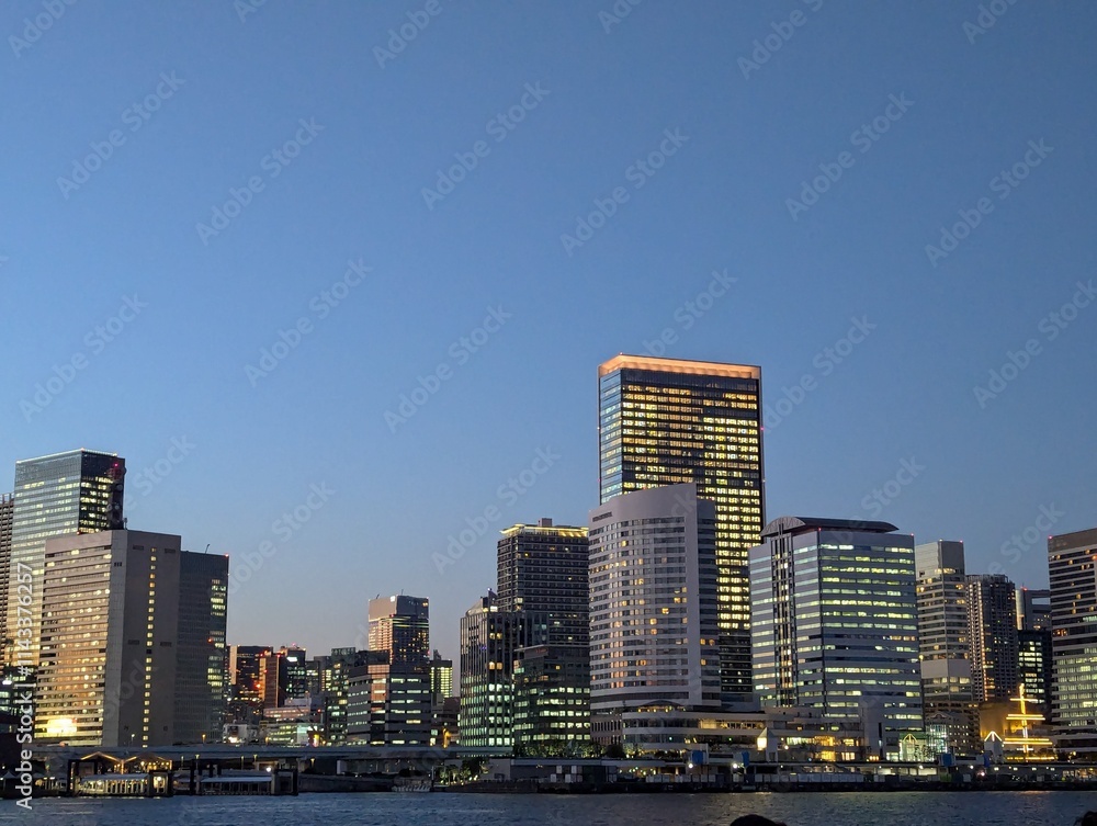 Fototapeta premium Tokyo skyline at night seen from water.