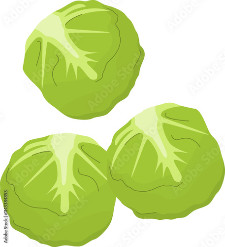 Illustration of Fresh Brussels Sprouts