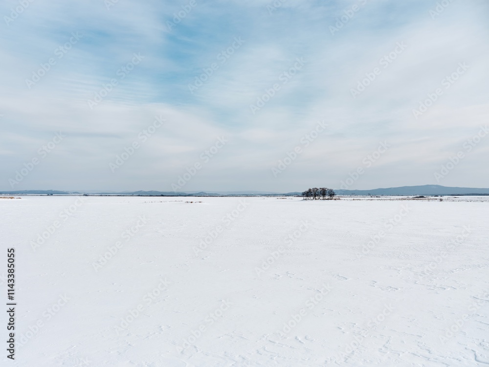Endless white snow-covered landscape with soft clouds and distant trees under a pale sky