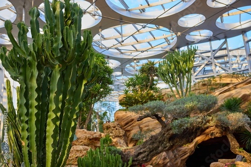 Fotografie Exploring the vibrant greenhouse garden at Shanghai World Expo Culture Park, sho