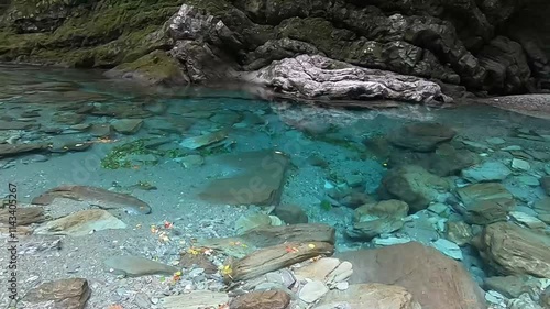 仁淀川（the Niyodo River）
