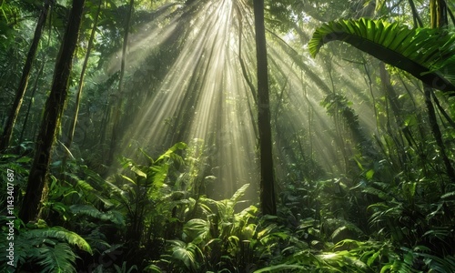 Sunbeams Through the Rainforest Canopy:  A captivating image of sunlight piercing through the dense foliage of a tropical rainforest, creating a mesmerizing spectacle of light and shadow. photo