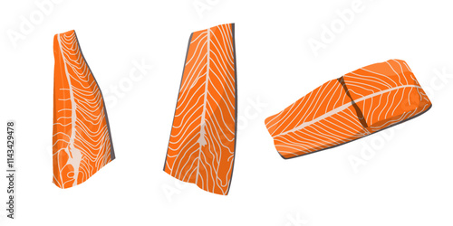 salmon meat illustration vector collection