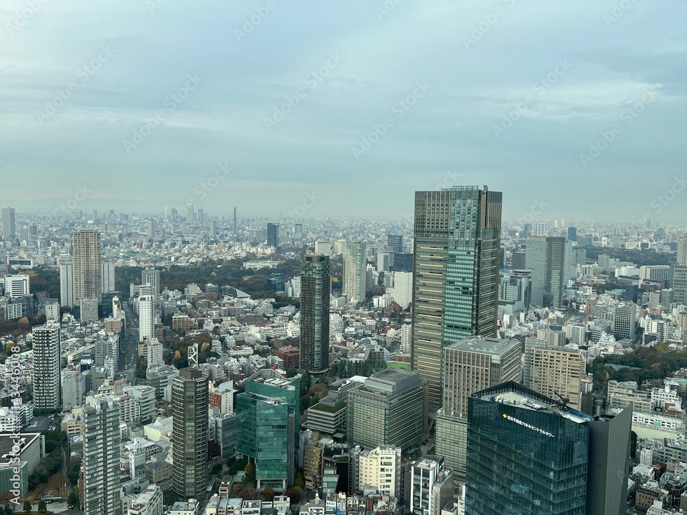 Fototapeta premium 東京の高層ビルから見下ろした街の風景