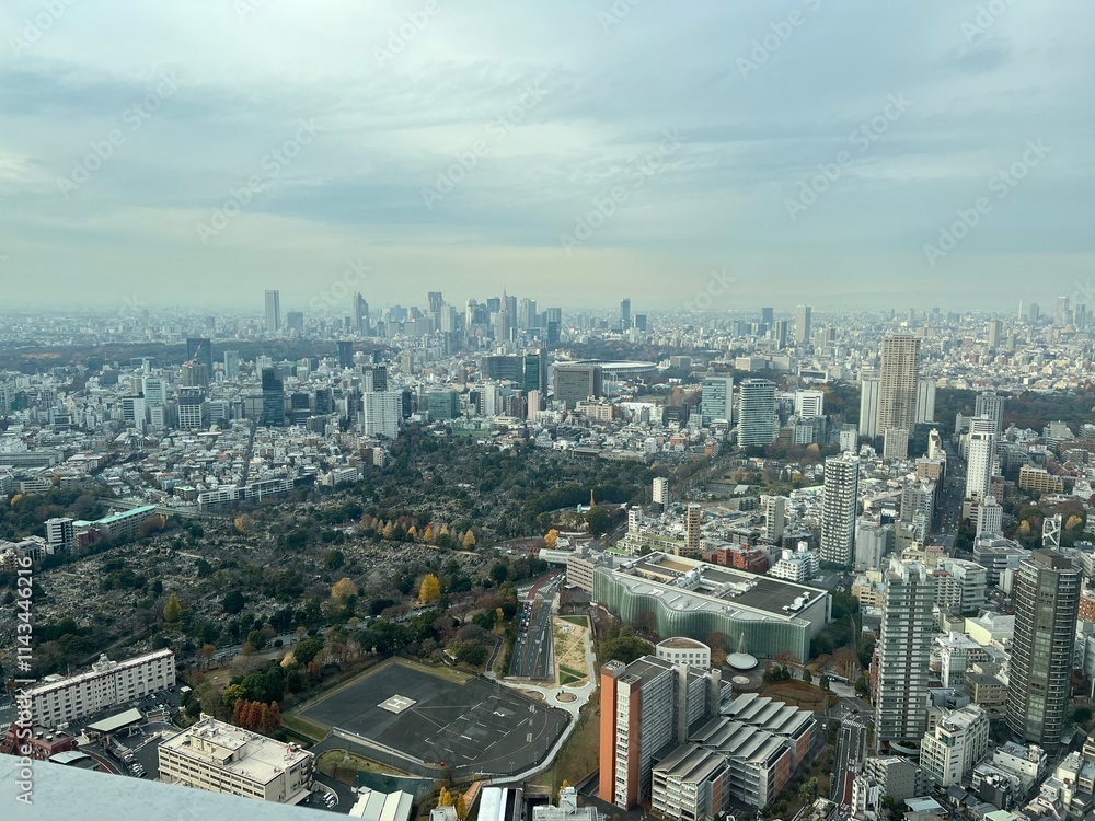 Fototapeta premium 東京の高層ビルから見下ろした街の風景