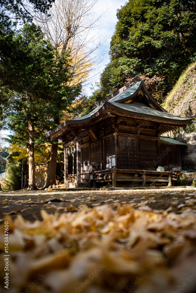 Obraz premium 鎌倉2412 十二所神社3 落ち葉