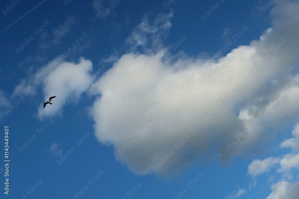Beautiful heart shape cloud in blue sky, natural background Beautiful heart shape cloud in blue sky, natural background