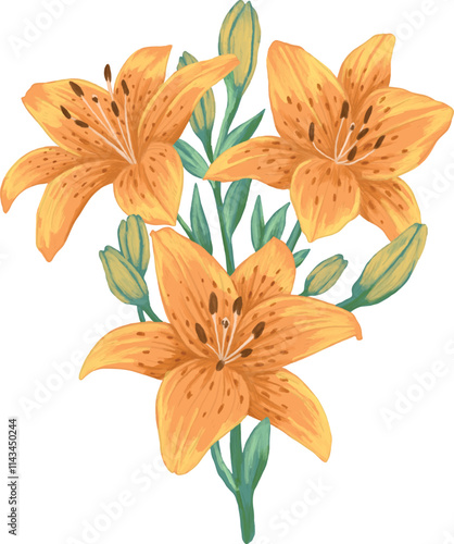 Tiger lily flower painting illustration