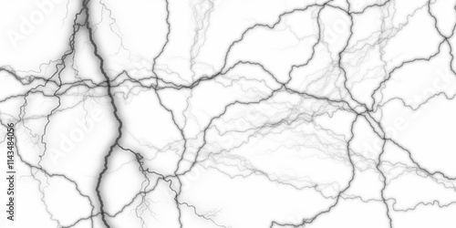 Suitable for both interior and exterior use, it adds a touch of elegance and sophistication to any space. Vector cracks, breaks on land surface from earthquake. cracked black paint on a white bg. 