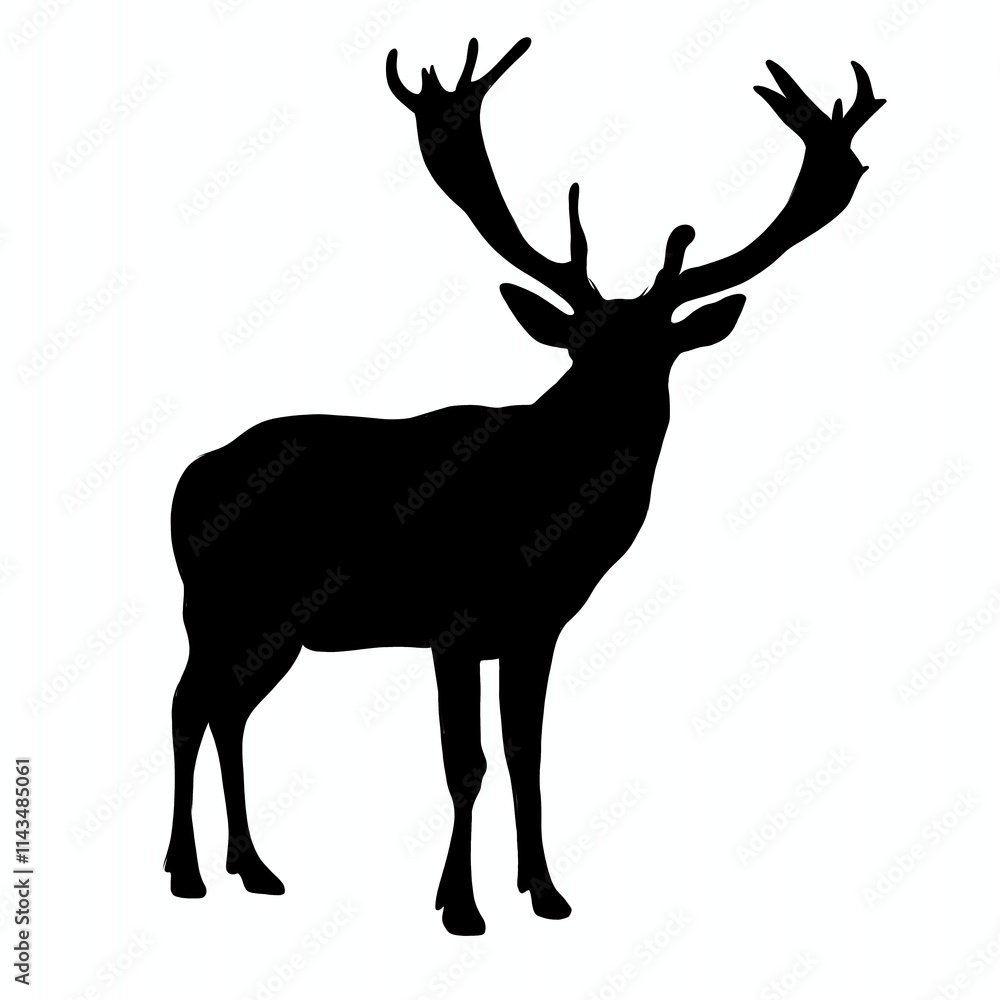 Fototapeta premium silhouette of deer