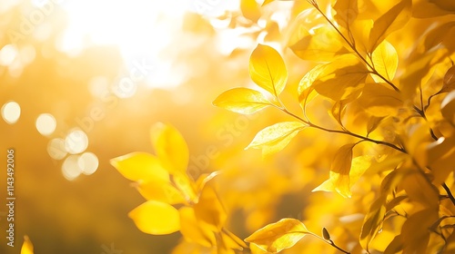 Glowing yellow leaves softly catch light wide shot photo. AI Generated