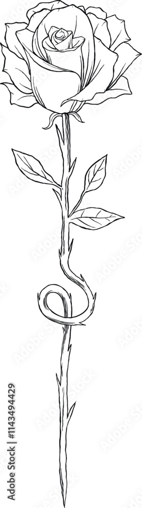 Rose minimalist tatto sketch illuastration Rose minimalist tatto sketch illuastration