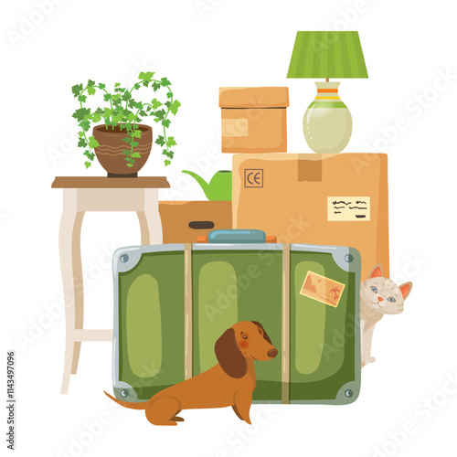 Cardboard moving boxes with suitcases, pets and house plant