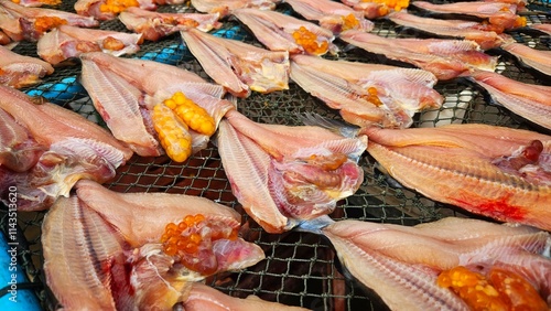 drying fish by sunshine on net for Food preservation by local pepople in fishermen village.