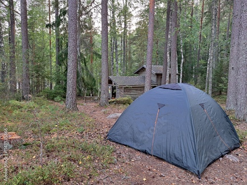 Tourist tent in a pine forest, Finland photo