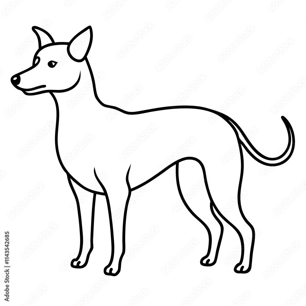 A dog line art with white background A dog line art with white background