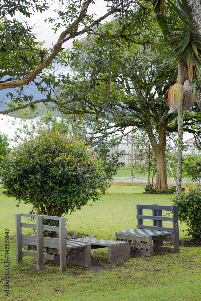 Quiet garden with recycled plastic benches Quiet garden with recycled plastic benches