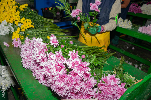 Industrial Flower Production in Colombia photo