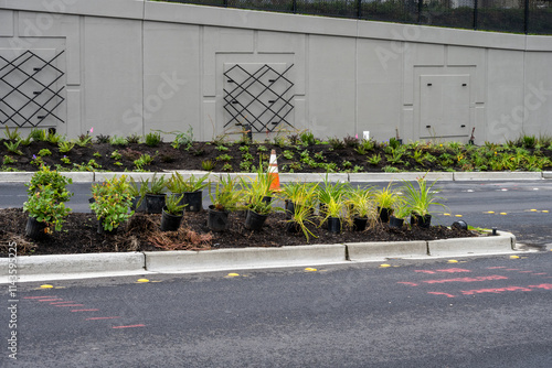 Картината върху платно New installed road center median planting strip and sidewalk planting strip and