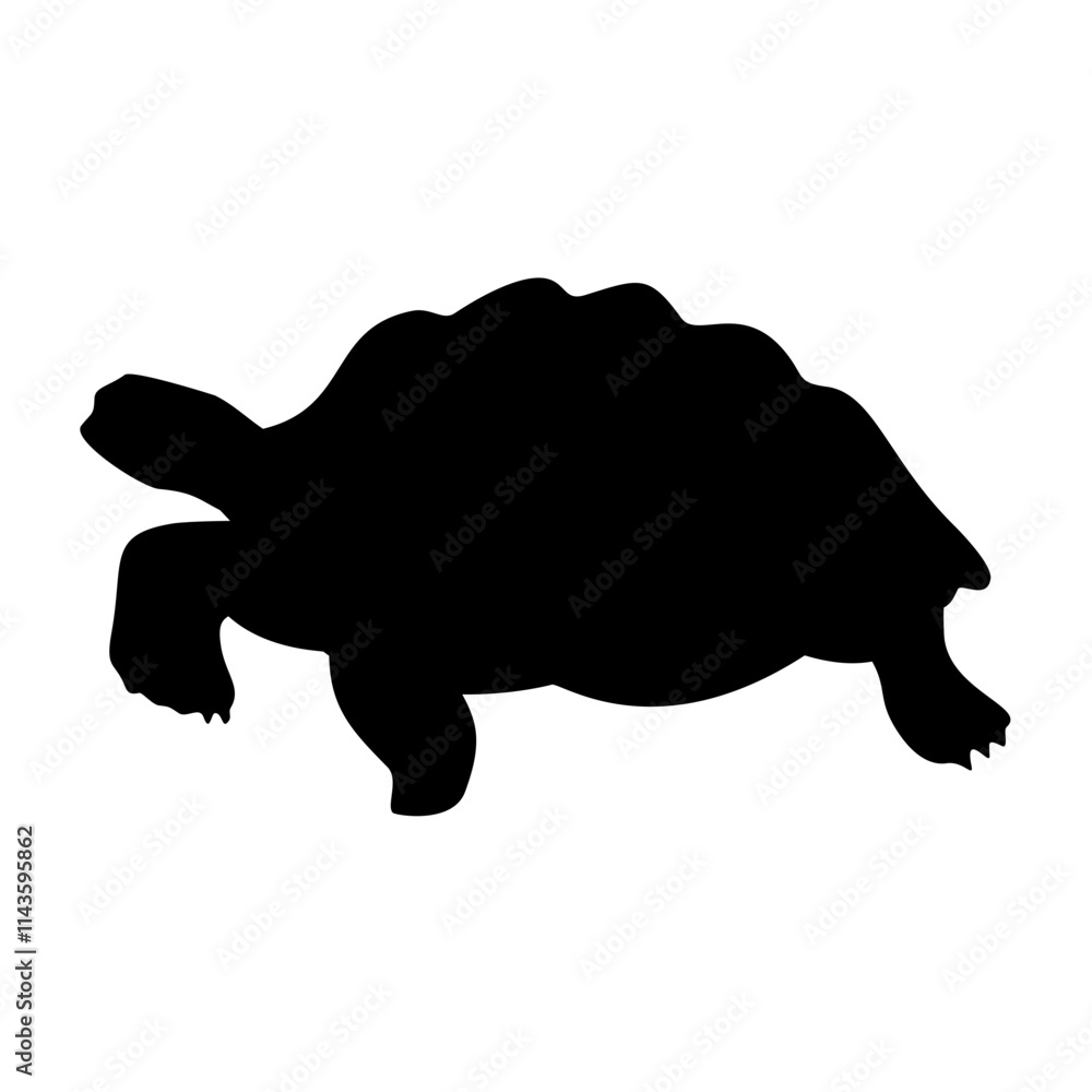 Turtle Silhouette. Turtle Vector Illustration. Turtle Silhouette. Turtle Vector Illustration.