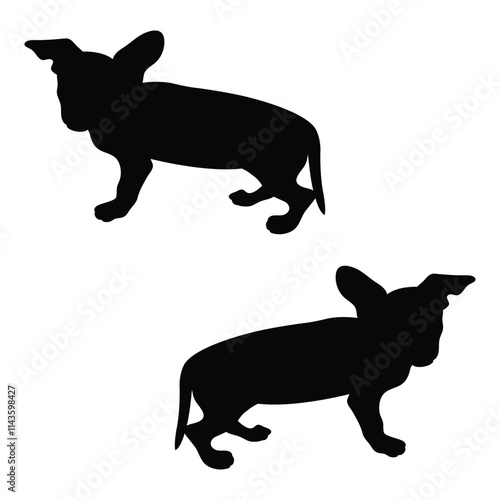 Chiweenie Silhouette, Chiweenie Vector Silhouette, Chiweenie cartoon Silhouette, Chiweenie illustration, Chiweenie icon Silhouette, Chiweenie Silhouette illustration