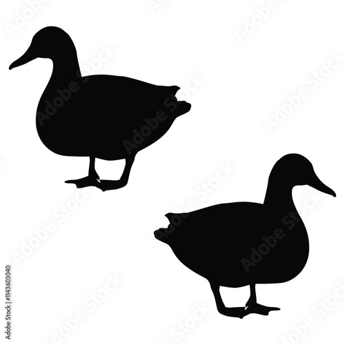 Duck Silhouette, Duck Vector Silhouette, Duck cartoon Silhouette, Duck illustration, Duck icon Silhouette, Duck Silhouette illustration