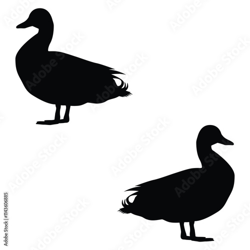 Duck Silhouette, Duck Vector Silhouette, Duck cartoon Silhouette, Duck illustration, Duck icon Silhouette, Duck Silhouette illustration