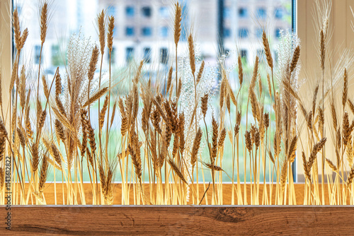 Wheat stalks displayed in a wooden planter by a window, illuminated by natural sunlight. Concept of rustic interior decoration
