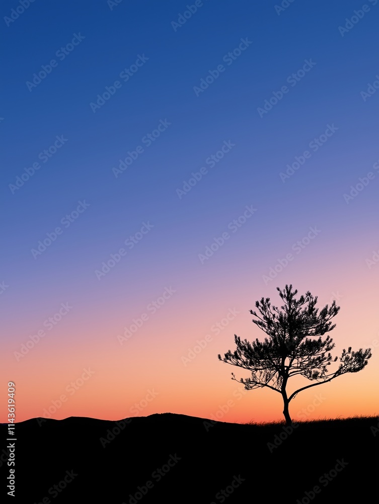Silhouette of a pine tree against a colorful sunset nature landscape view Silhouette of a pine tree against a colorful sunset nature landscape view