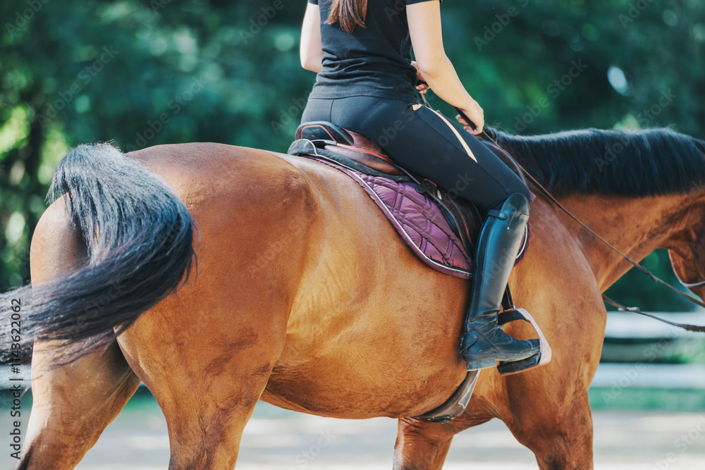 A woman in riding attire sits on a brown horse with a purple saddle pad, enjoying a serene ride outdoors. The image captures a peaceful horseback riding moment in nature. A woman in riding attire sits on a brown horse with a purple saddle pad, enjoying a serene ride outdoors. The image captures a peaceful horseback riding moment in nature.