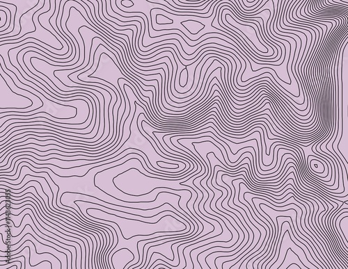 Obraz na płótnie Curvas de nivel, mapa topográfico w salonie