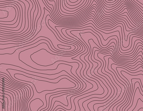 Obraz na płótnie Curvas de nivel, mapa topográfico w salonie