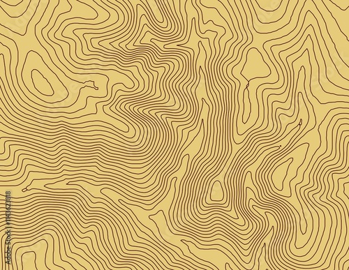 Obraz na płótnie Curvas de nivel, mapa topográfico w salonie
