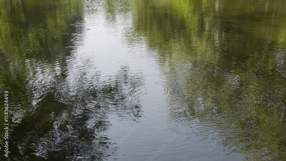 Park Abstract water ripple reflection nature wellness environmental concept Park Abstract water ripple reflection nature wellness environmental concept