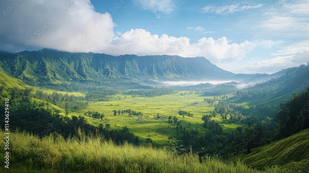 Obraz premium Serene Valley Landscape with Rolling Green Hills and Lush Vegetation