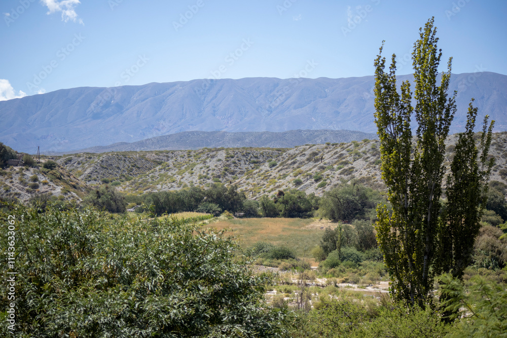 Obraz premium landscape in the mountains