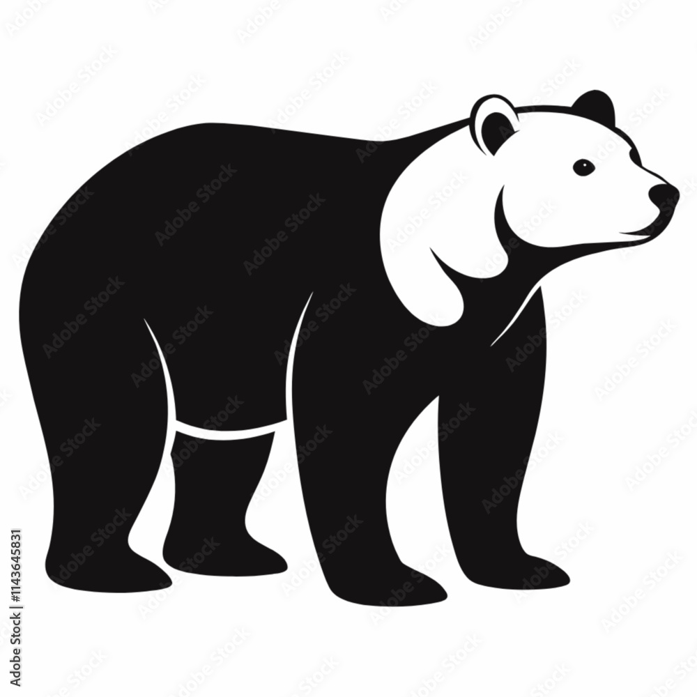 illustration of bear illustration of bear