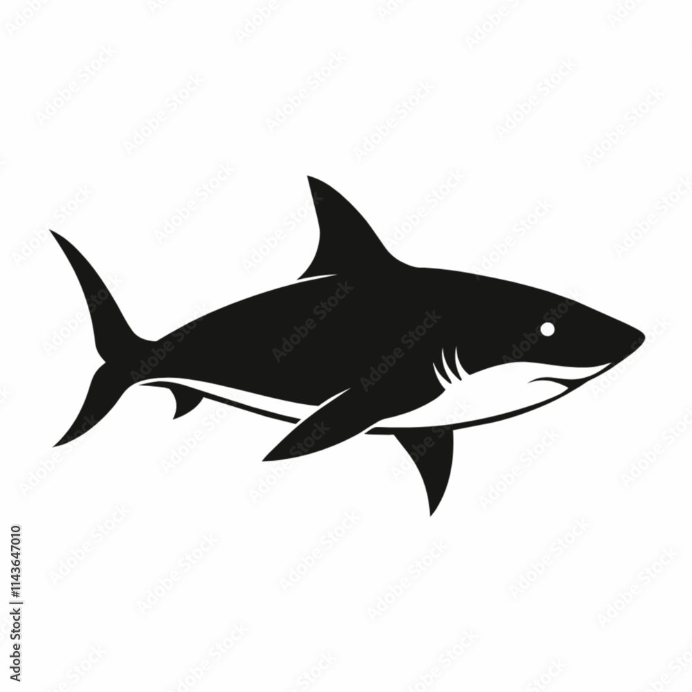 shark illustration shark illustration