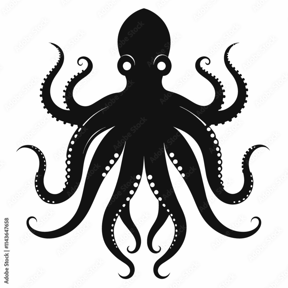 octopus octopus