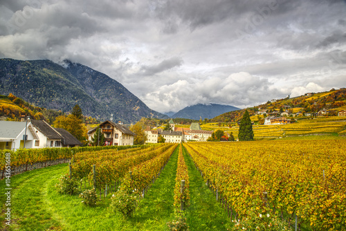 Vineyard and beautiful autumn landscape in Italian Dolomites. Vineyard belongs to a monastery next to Brixen town in Italian Dolomites