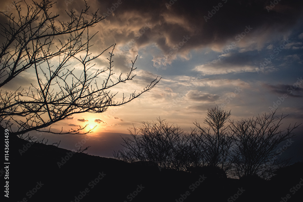 Obraz premium ＜夜明けの景色＞鬼岳樹木公園の夜明け