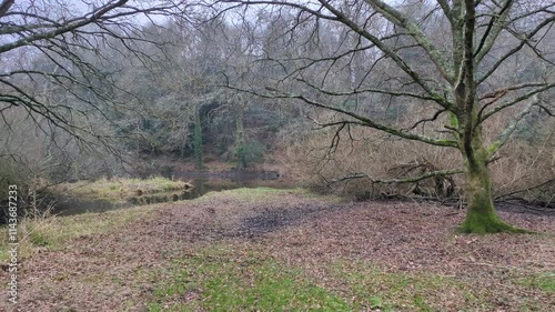 Vue sur le Brivet, canal dans le brouillard (5)