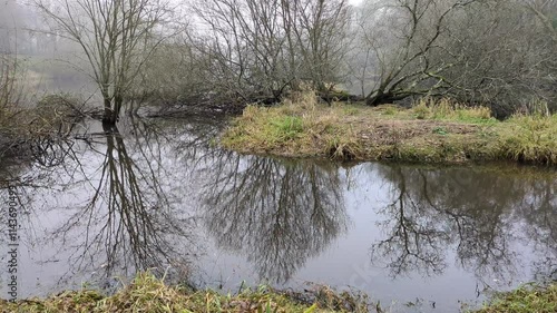 Vue sur le Brivet, canal dans le brouillard (10)