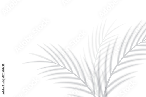 Abstract background of tropical palm leaves. Shadow effects with tropical palm leaves.