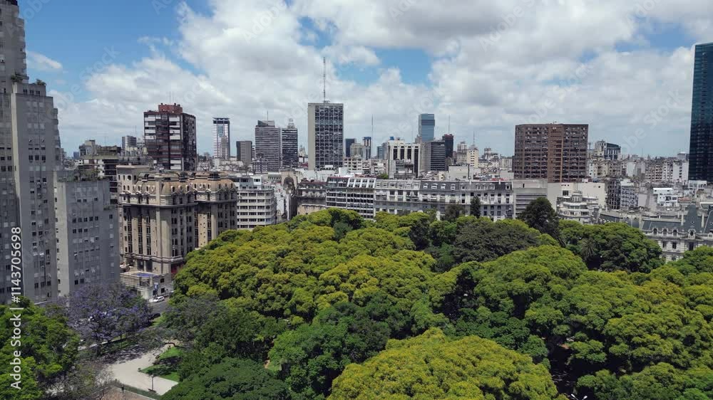 Flyover plaza tree canopy toward art deco buildings in Buenos Aires Flyover plaza tree canopy toward art deco buildings in Buenos Aires