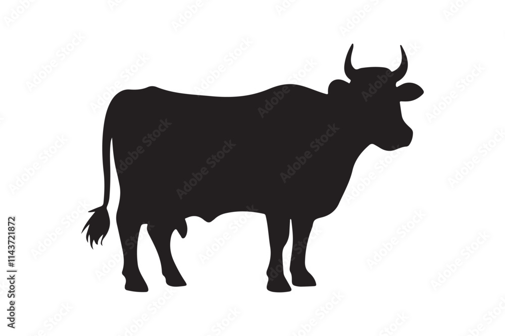 black bull isolated on white black bull isolated on white